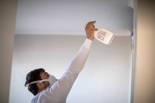 Best Mold Testing and Removal  in Forks, WA